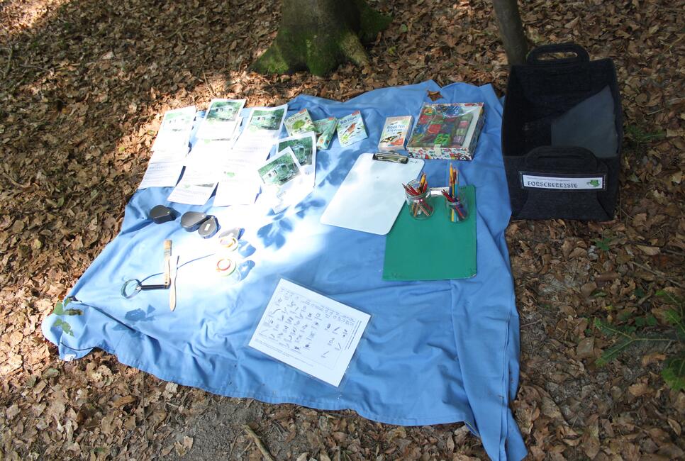 Naturdetektive erforschen den Herbstwald