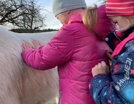 Pony Camp