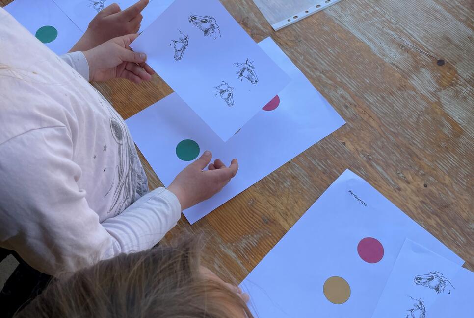 Mimik und Gestik der Ponys