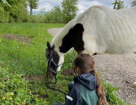 Pony Camp