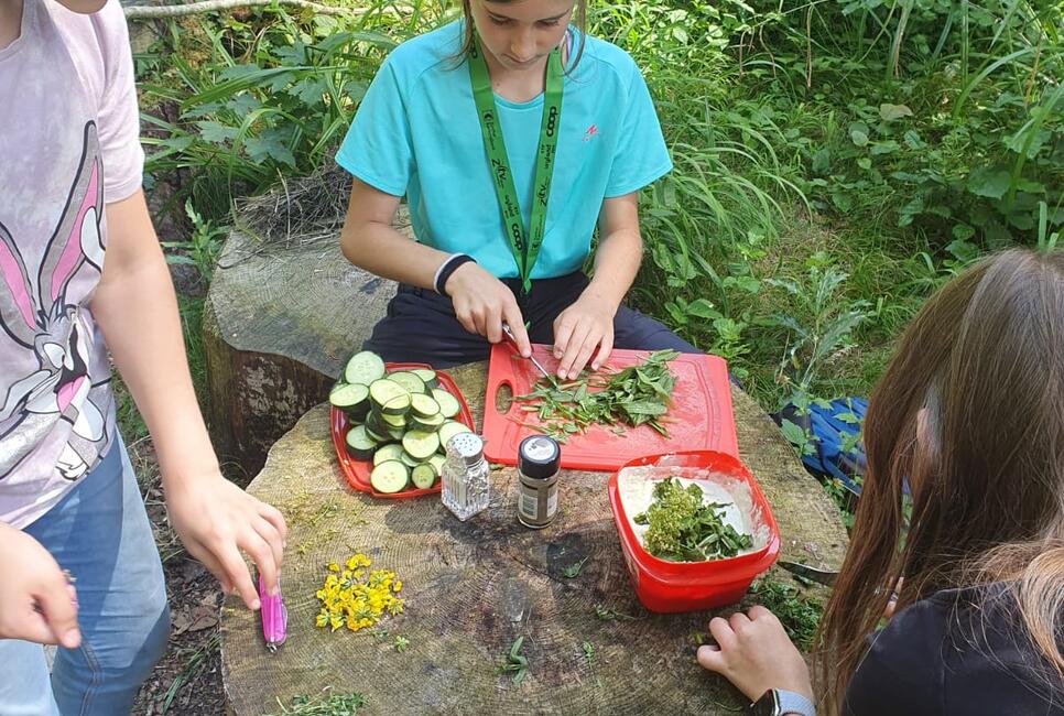 Kinder schneiden im Wald Gem&uuml;se und Kr&auml;uter