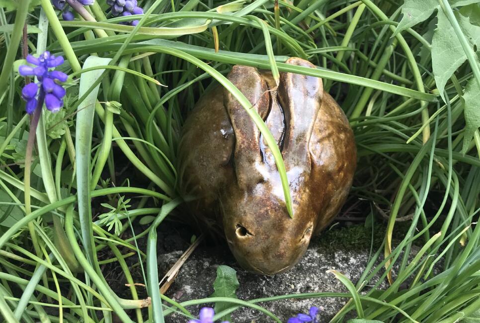 Get&ouml;pferter Hase
