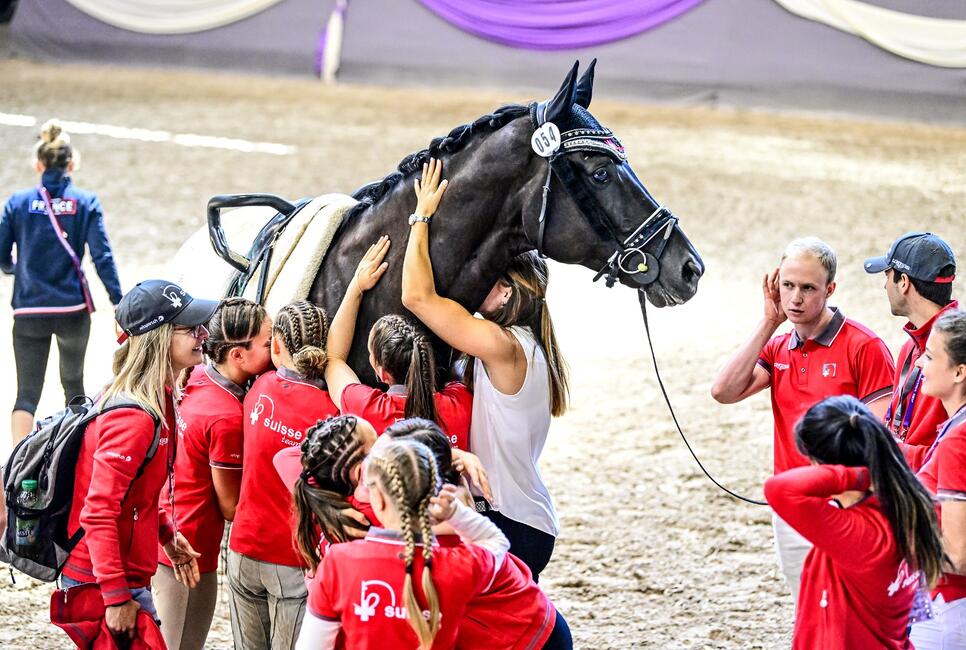 Das Team umarmt das Pferd