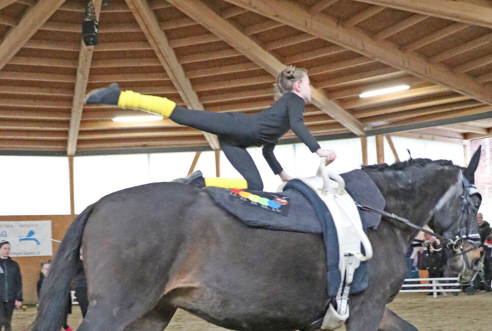 Voltigieren in der Halle