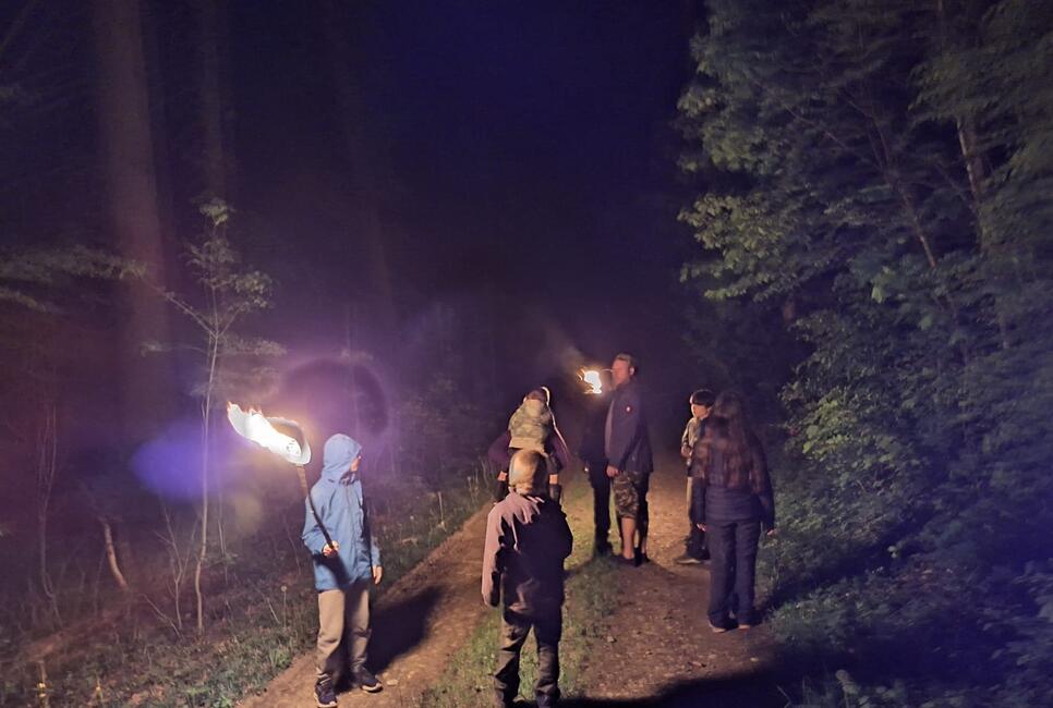 Fakelspaziergang durch den Wald