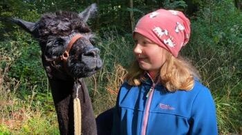 Kind beim Spaziergang mit dem Alpaka