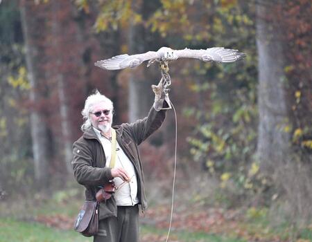  Erlebnis-Falknerei und Falkenflüge