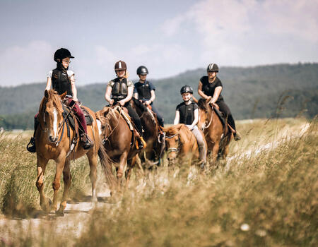 Ferienlager auf dem Biohof Eidberg