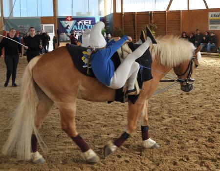 Kinder-Pferde-Erlebnistage