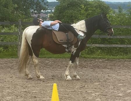 Reitferienwoche ganzer Tag 