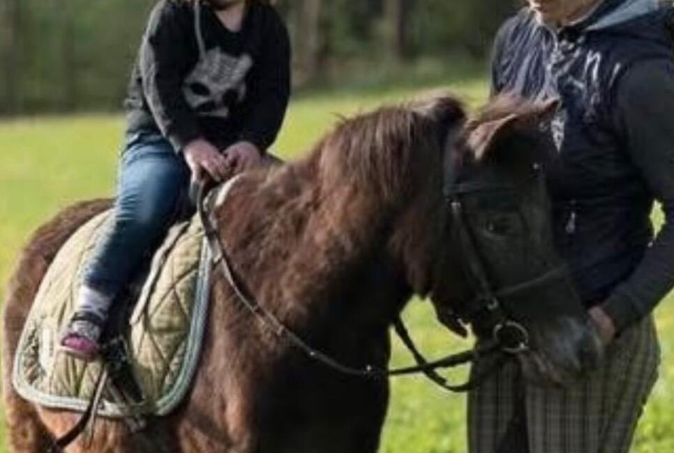 Reitferienwoche Vor- oder Nachmittagskurs