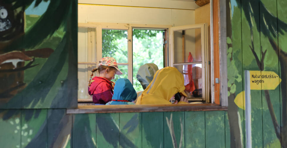 Naturdetektive im Fr&uuml;hlingswald &ndash; 2. Woche