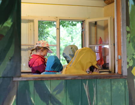 Naturdetektive im Frühlingswald – 2. Woche