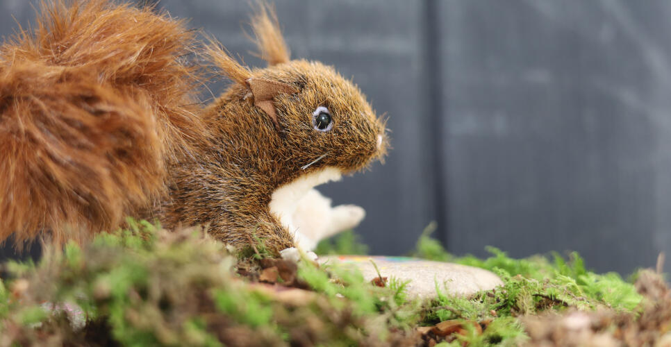 Naturdetektive im Fr&uuml;hlingswald &ndash; 2. Woche