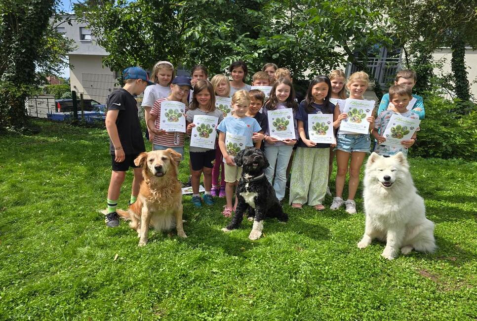 Draussen in der Natur mit den Hunden Nala und Malou