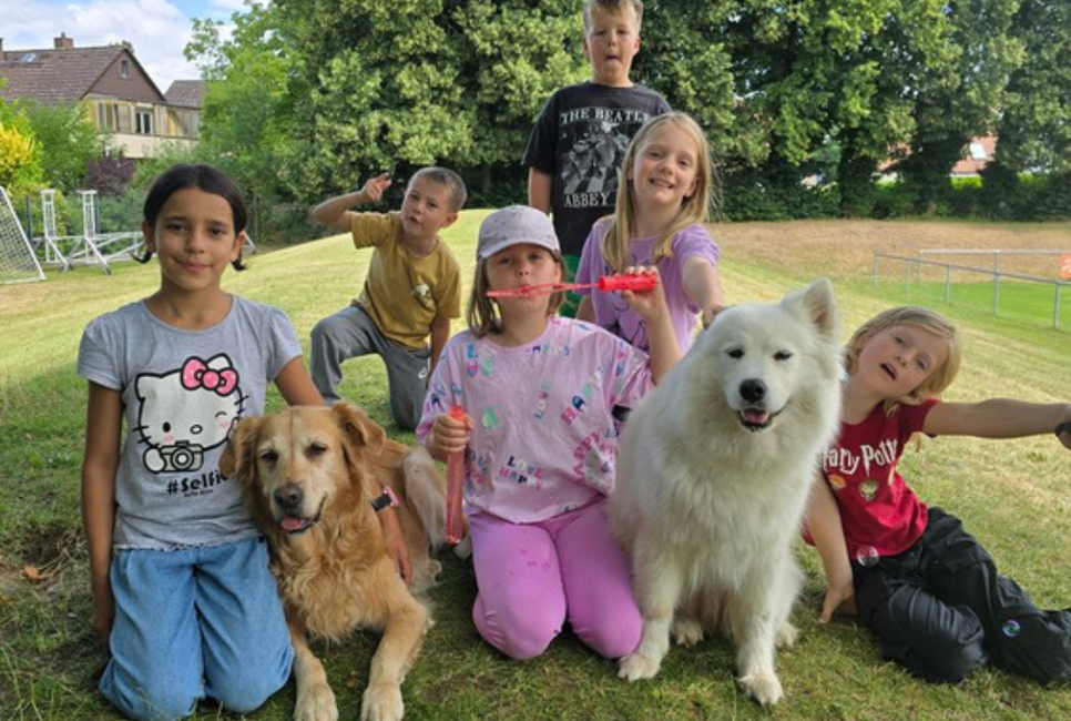 Draussen in der Natur mit den Hunden Nala und Malou