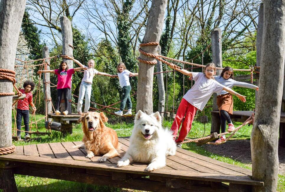 Draussen in der Natur mit den Hunden Nala und Malou