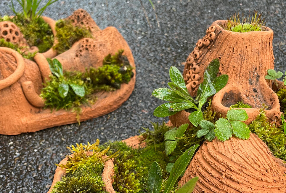 MISSION MINI-WILDNIS &ndash; BAUE DEINE EIGENE PFLANZENINSEL!