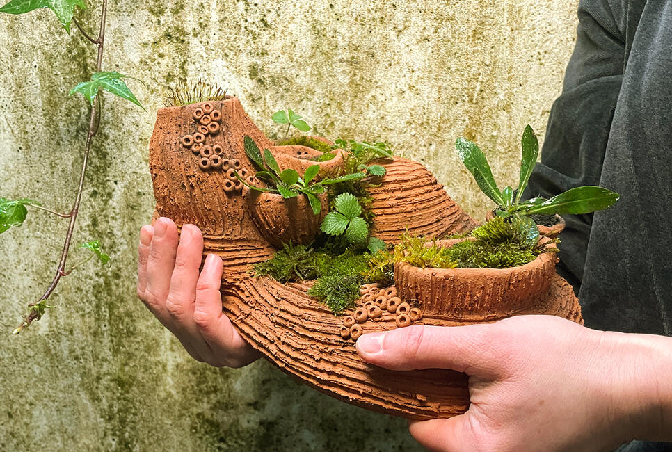 MISSION MINI-WILDNIS &ndash; BAUE DEINE EIGENE PFLANZENINSEL!