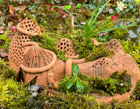 MISSION MINI-WILDNIS – BAUE DEINE EIGENE PFLANZENINSEL!