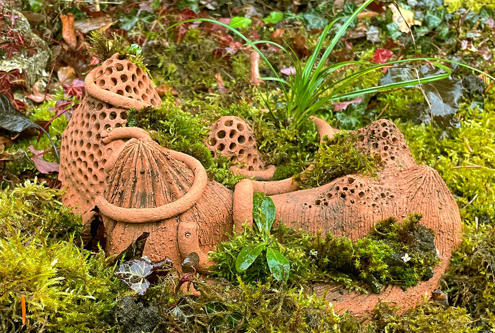 MISSION MINI-WILDNIS &ndash; BAUE DEINE EIGENE PFLANZENINSEL!