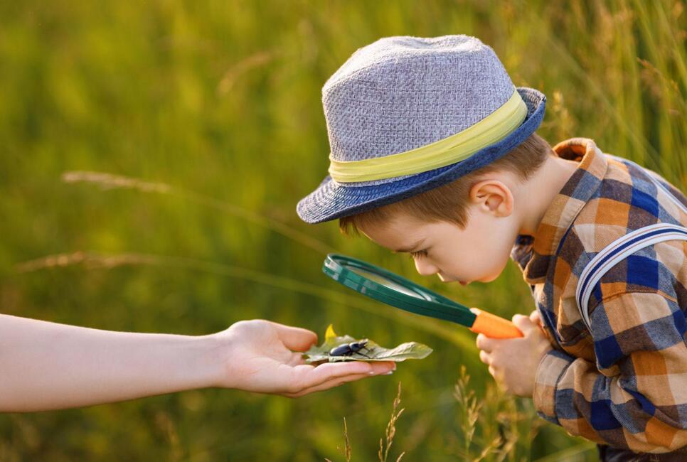 Naturwissen f&uuml;r schlaue Kids!