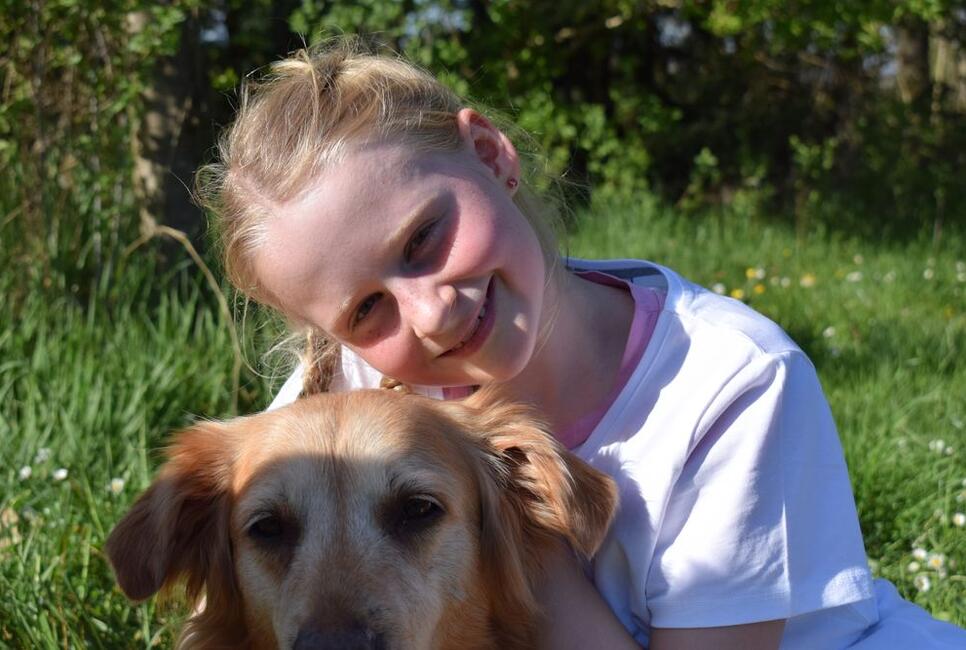 Draussen in der Natur mit den Hunden Nala und Malou