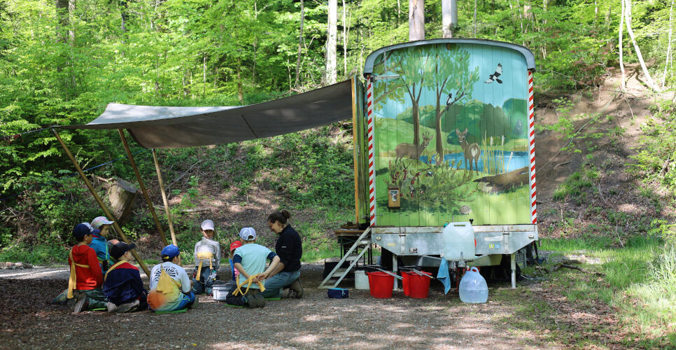 Naturdetektive erforschen den Sommerwald