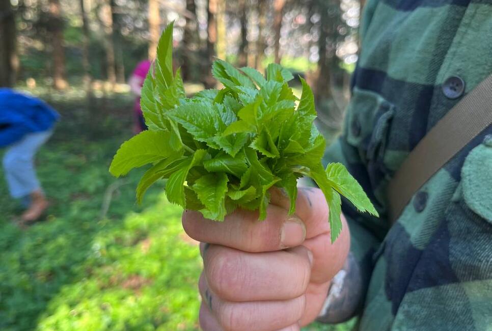 Kinder- und Jugendcamp &ndash; Abenteuer im Wald
