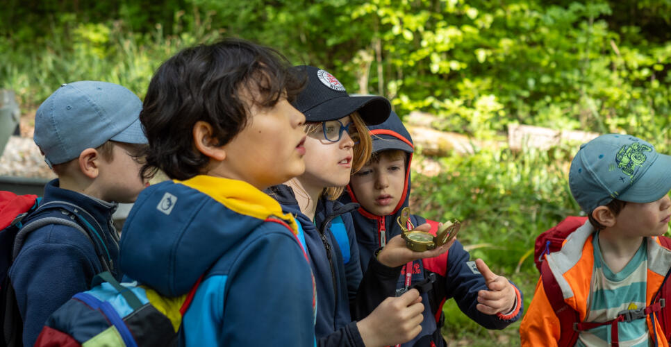 Naturdetektive im Herbstwald