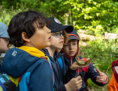 Naturdetektive im Herbstwald