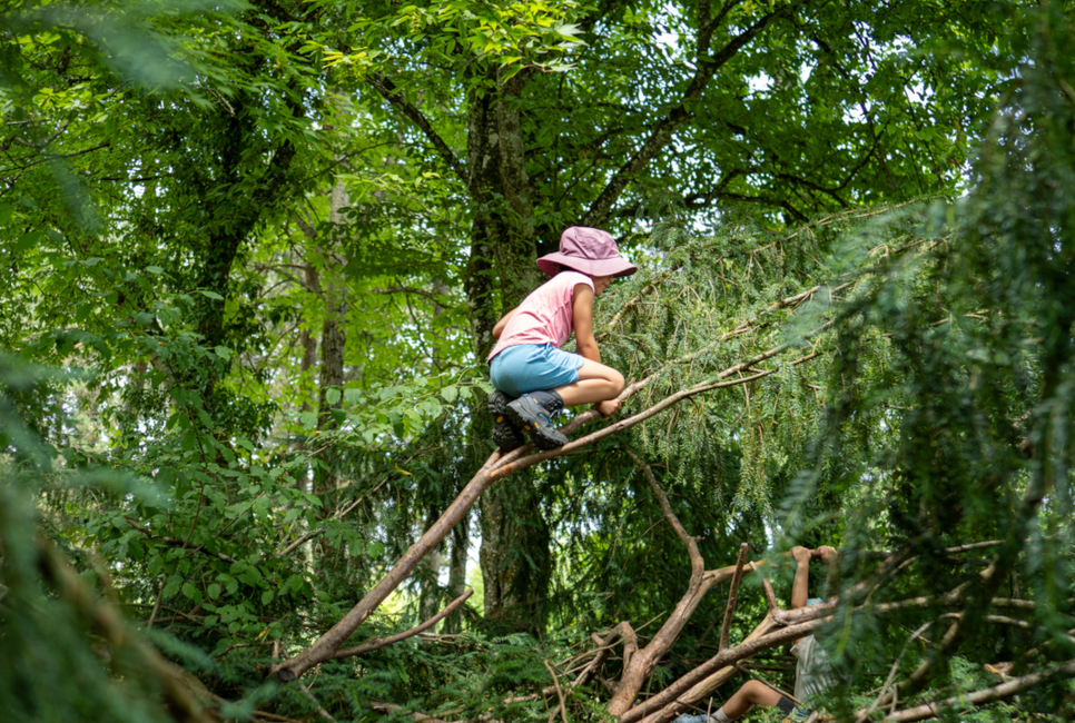 Naturdetektive im Herbstwald